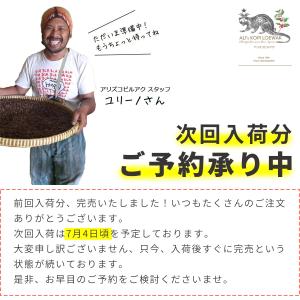アリズ コピルアク アラビカ 100g ギフト...の詳細画像1