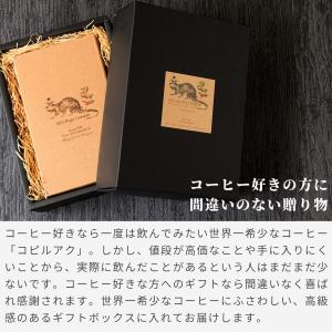 アリズ コピルアク アラビカ 100g ギフト...の詳細画像5