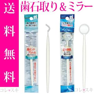 歯石取りセット 2点セット 鏡 口内ミラー スケーラー