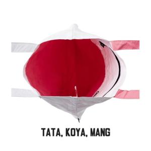 BT21 ミュージック タイベック エコバッグ...の詳細画像4