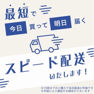 アイスレディ 脱毛器 家庭用 全身 vio 女...の詳細画像3