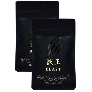 パクパク酵母くん 31袋入り 3箱 糖質 3種の酵母 酵母 サプリ ぱくぱく