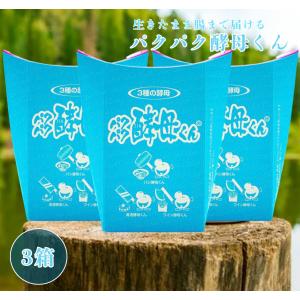 グレイセル ココア 100g GRACELL ウェルネス ダイエット 3袋