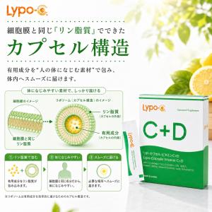 リポc +d カプセルビタミンc シー lyp...の詳細画像5