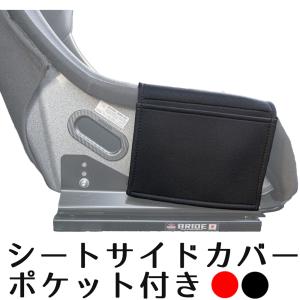 レカロ RECARO レカロ サイドプロテクター ASM LIMITED2