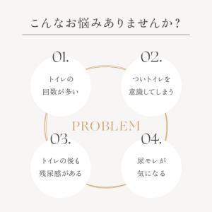 尿漏れパンツ 女性 日本製 特許構造 失禁ショ...の詳細画像1
