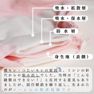 尿漏れパンツ 女性 日本製 特許構造 失禁ショ...の詳細画像4