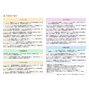 50種類のフルーの栄養素一覧表 A4サイズ/フ...の詳細画像2