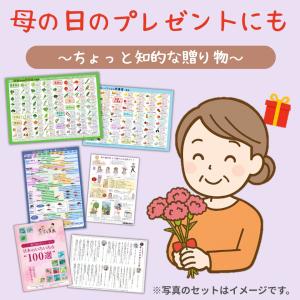 50種類のフルーの栄養素一覧表 A4サイズ/フ...の詳細画像5