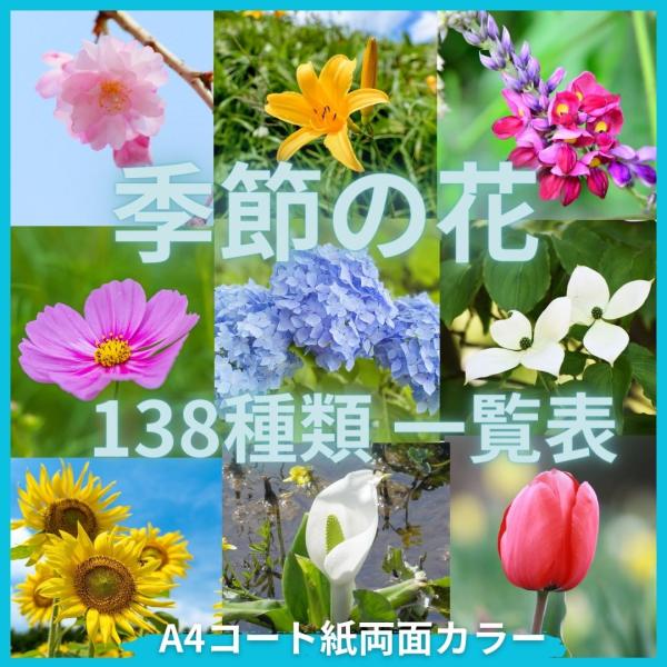 季節の花一覧表　A4コート紙・両面カラー　プレゼントに