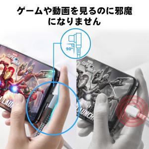 【2本セット】RoiCiel USB-C to...の詳細画像2