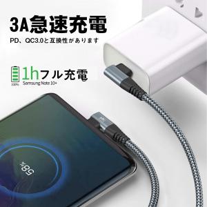 【2本セット】RoiCiel USB-C to...の詳細画像3