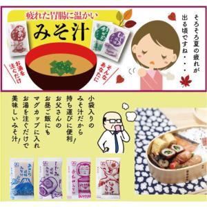 即席 国産みそ汁 生みそタイプ 5種より選べる...の詳細画像3