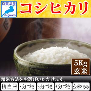 令和5年産 滋賀県産コシヒカリ5Kg玄米 【精米方法が選べます】 お好きな分つきに 健康応援 送料無料 一部除く