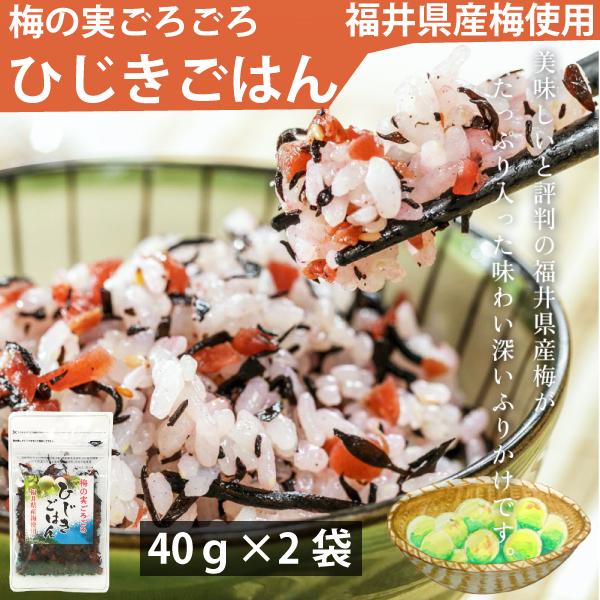 カワモト 梅の実ごろごろひじきごはん 40g×2袋 メール便　送料無料