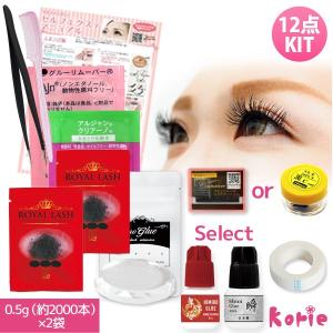 まつげエクステ キット C 1本タイプ 新12点...の商品画像