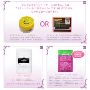 まつげエクステ キット C 1本タイプ 新12...の詳細画像3