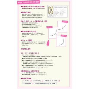 まつげエクステ キット C 1本タイプ 新12...の詳細画像4