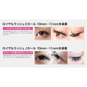 まつげエクステ キット C 1本タイプ 新12...の詳細画像5