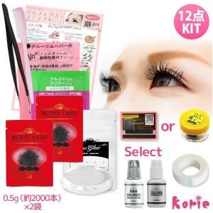 まつげエクステ キット C 0.06mm 極細 束タイプ 新12点セット