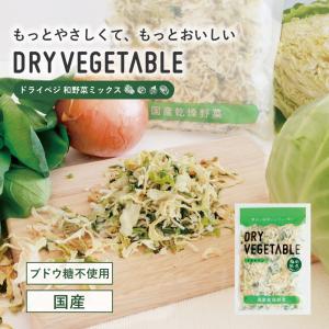380円オフ 乾燥野菜 国産 DRYVEGETABLE 和野菜ミックス