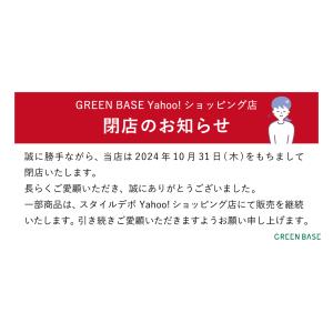ブドウ糖不使用 乾燥野菜 国産 DRYVEGE...の詳細画像1