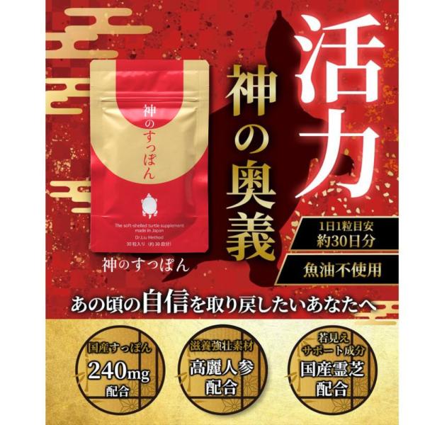 ＼国産すっぽん使用／神のすっぽん 霊芝 高麗人参 30日分 活力 サポート 回復 サプリメント 精力...