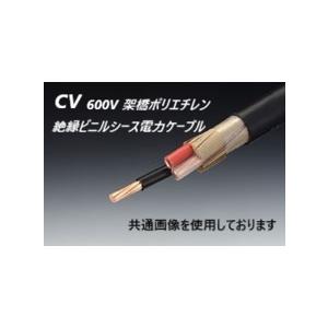 600V　CV 22sq-4c　10mより切売り　表示価格は1mの金額です　10以上の数字をご入力く...