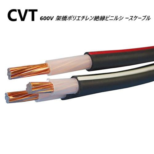 600V CVT 22sq　10mより切売り　表示価格は1mの金額です　10以上の数字をご入力くださ...