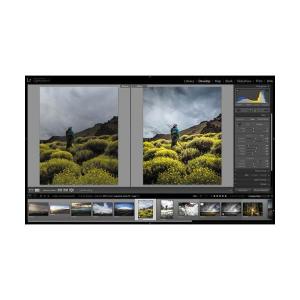 Luminar 4【ダウンロード版】永 続ライ...の詳細画像2