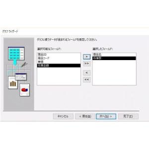 Microsoft Access 2019(最...の詳細画像3