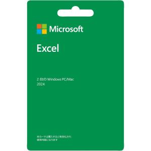 Microsoft Excel 2024 永続...の詳細画像1