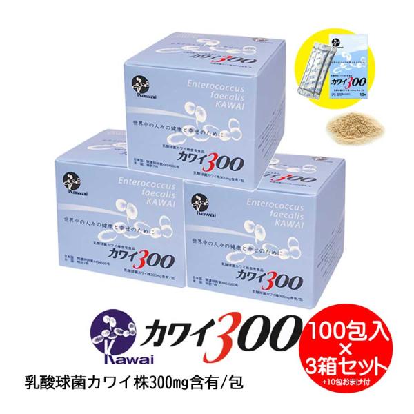 【もれなく10包プレゼント】カワイ 300mg 3箱セット カワイ株 乳酸菌 乳酸球菌 健康 粉末 ...