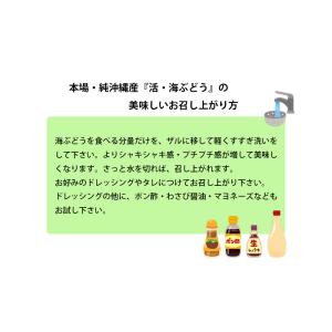 海ぶどう 沖縄 1kg 特選品 活海ぶどう 宜...の詳細画像2