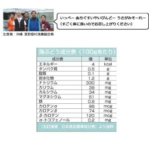 海ぶどう 沖縄 1kg 特選品 活海ぶどう 宜...の詳細画像5