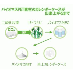 カレンダーケース(バイオマスPET) ハガキサ...の詳細画像3