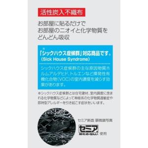 不織布カレンダー 消臭カレンダー (FU30)...の詳細画像2