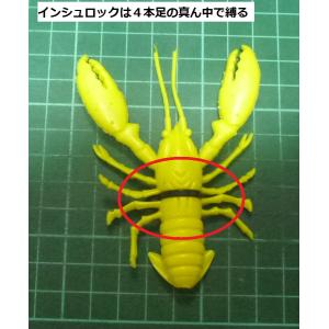 デビルクローワーム4inch ばら売り(1個入...の詳細画像3