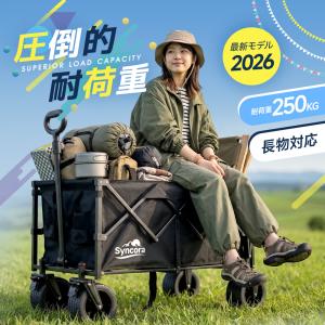【10%OFFクーポンで6282円】 キャリー...の詳細画像2