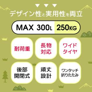 【10%OFFクーポンで6282円】 キャリー...の詳細画像3