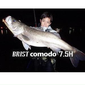 Fishman(フィッシュマン) BRIST comodo7.5H【FBR75H】 : comodo710 