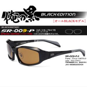 1/15まで全品+P5% 偏光グラス ストームライダー SR-009-P スポーツ