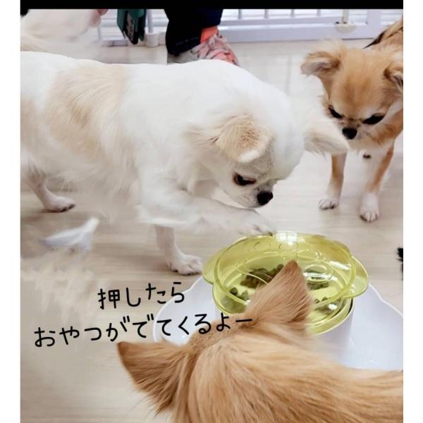 犬 おもちゃ おやつ入れ 押すと出る 犬 猫 給餌おもちゃ おやつボール 倒れない 早食い防止 知育...