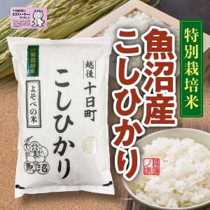 2025年産 新米 魚沼産コシヒカリ 5kg : 魚沼の餅屋 - 通販 - Yahoo