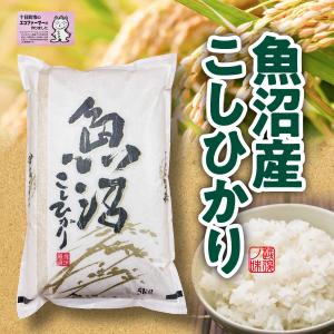新潟県魚沼産コシヒカリ 5kg×2袋 2025年5月精米 2025年産 新米 魚沼産コシヒカリ 5kg : 魚沼の餅屋 - 通販 - Yahoo