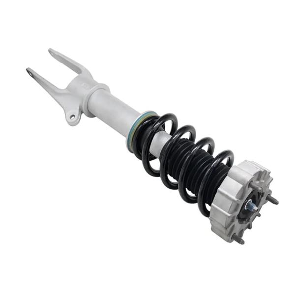 【並行輸入品】WADINTCPS Front Shock Strut Assys w/PASM Co...