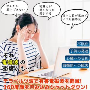 【すぐに使える10%割引クーポン配布中】テラリ...の詳細画像1