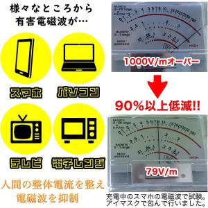 【すぐに使える10%割引クーポン配布中】テラリ...の詳細画像2