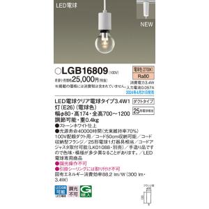 パナソニック ペンダント 配線ダクト用 LGB16809 LED Ｔ区分