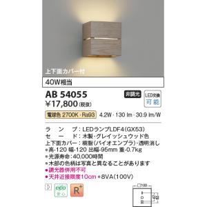 安心のメーカー保証【ご注文合計25,001円以上送料無料】【インボイス対応店】Ｔ区分 コイズミ照明器具 AB54055 ブラケット LED 実績20年の老舗｜koshinaka